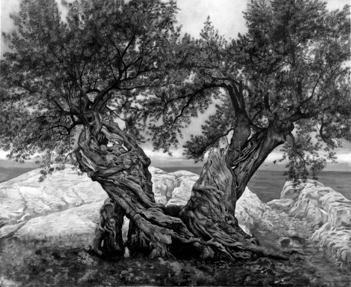 landscape art by Mati Klarwein - Olive Trees - twoINone