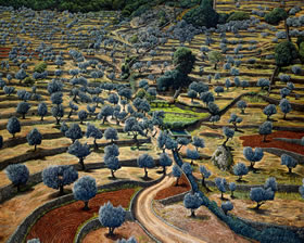 Online Art Gallery of Landscapes and Mindscapes by Mati Klarwein